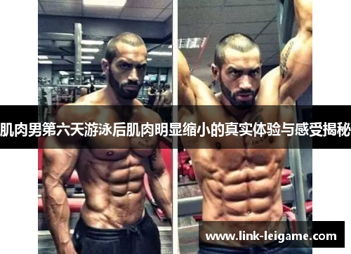 肌肉男第六天游泳后肌肉明显缩小的真实体验与感受揭秘