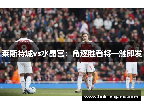 莱斯特城vs水晶宫：角逐胜者将一触即发