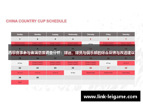 西甲赛事参与者满意度调查分析：球迷、球员与俱乐部的综合反馈与改进建议