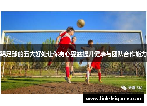 踢足球的五大好处让你身心受益提升健康与团队合作能力