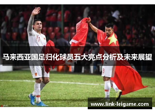 马来西亚国足归化球员五大亮点分析及未来展望 马来西亚国足归化球员五大亮点分析及未来展望